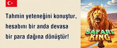 Günlük Yeniden Yükleme Bonusu promotion